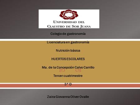  Colegio de gastronomía Licenciatura en gastronomía Nutrición básica HUERTOS ESCOLARES Ma. de la Concepción Calvo Carrillo Tercer cuatrimestre 3° D Zaira.