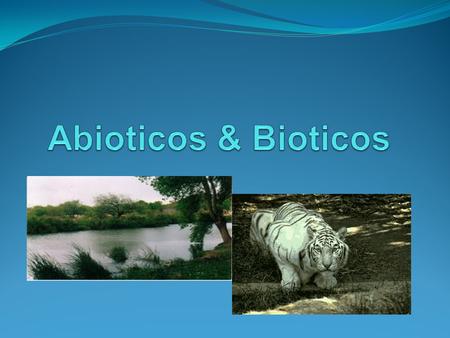 Abioticos & Bioticos.