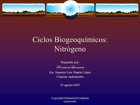 Ciclos Biogeoquímicos: Nitrógeno