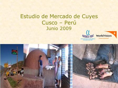 Estudio de Mercado de Cuyes Cusco – Perú Junio 2009