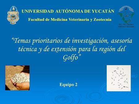 UNIVERSIDAD AUTÓNOMA DE YUCATÁN “Temas prioritarios de investigación, asesoría técnica y de extensión para la región del Golfo” Facultad de Medicina Veterinaria.