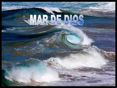 Mar de Dios mar de encuentro. Mar de fondo que ahoga mis miedos.