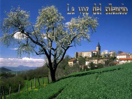 www.vitanoblepowerpoints.net Nada fortifica tanto las almas como el silencio; que es como una oración íntima en que ofrecemos a Dios nuestras tristezas.