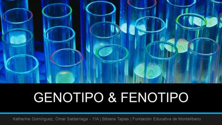 GENOTIPO & FENOTIPO Katherine Domínguez, Ómar Saldarriaga - 11A | Bibiana Tapias | Fundación Educativa de Montelíbano.