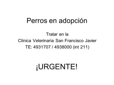Perros en adopción Tratar en la Clínica Veterinaria San Francisco Javier TE: 4931707 / 4938000 (int 211) ¡URGENTE!