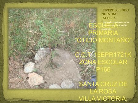 ESCUELA PRIMARIA “OTILIO MONTAÑO” C.C.T. 15EPR1721K ZONA ESCOLAR P166 SANTA CRUZ DE LA ROSA VILLA VICTORIA, MÉXICO.