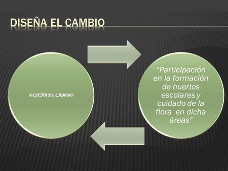 DISEÑA EL CAMBIO “Participación en la formación de huertos escolares y cuidado de la flora en dicha áreas”