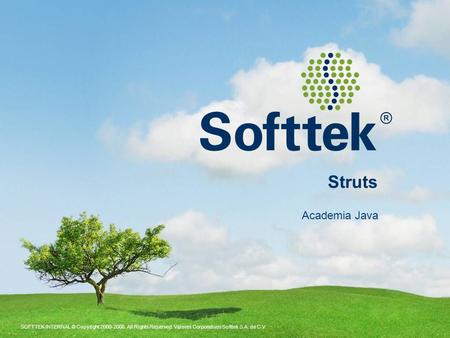 SOFTTEK INTERNAL © Copyright 2000-2008. All Rights Reserved. Valores Corporativos Softtek S.A. de C.V. Struts Academia Java.