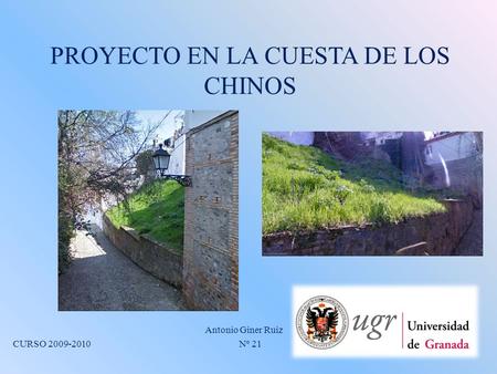 PROYECTO EN LA CUESTA DE LOS CHINOS Antonio Giner Ruiz CURSO 2009-2010 Nº 21.