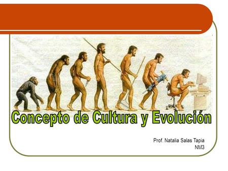Prof. Natalia Salas Tapia NM3. Objetivo: Conocer y comprender los conceptos de Cultura y Evolución aplicados a la Prehistoria.