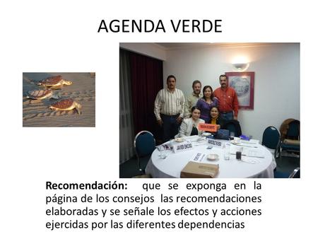 AGENDA VERDE Recomendación: que se exponga en la página de los consejos las recomendaciones elaboradas y se señale los efectos y acciones ejercidas por.