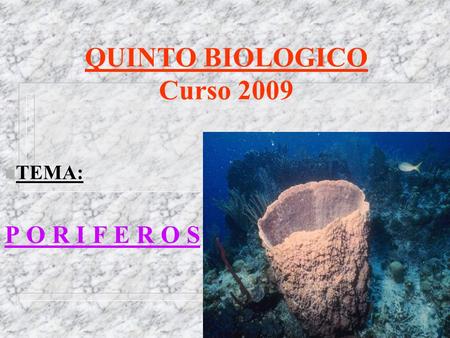 QUINTO BIOLOGICO Curso 2009