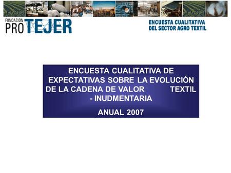 ENCUESTA CUALITATIVA DE EXPECTATIVAS SOBRE LA EVOLUCIÓN DE LA CADENA DE VALOR TEXTIL - INUDMENTARIA ANUAL 2007.