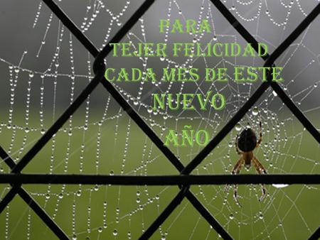 Para tejer felicidad cada mes de este nuevo año. ENERO: La felicidad futura depende de que ahora mismo yo decida ser todo lo feliz que pueda.