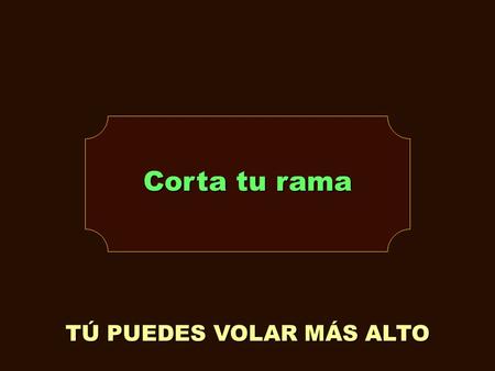 TÚ PUEDES VOLAR MÁS ALTO