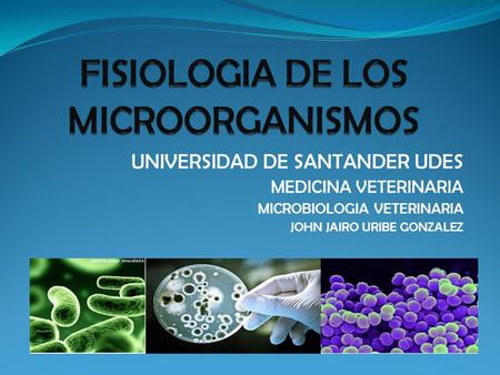 FISIOLOGIA DE LOS MICROORGANISMOS