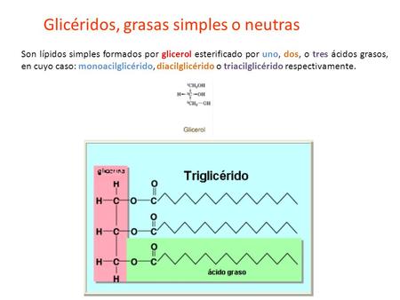 Glicéridos, grasas simples o neutras