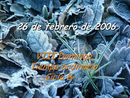 26 de febrero de 2006 VIII Domingo Tiempo ordinario -Ciclo B- VIII Domingo Tiempo ordinario -Ciclo B-