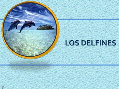 LOS DELFINES.