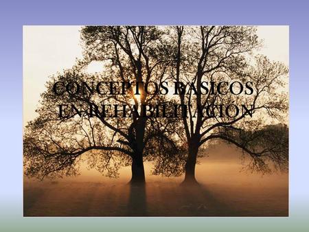 CONCEPTOS BÁSICOS EN REHABILITACIÓN