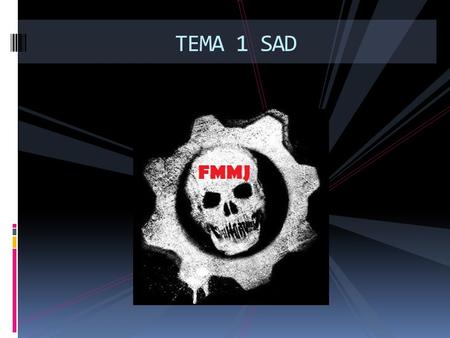 TEMA 1 SAD.