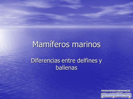Mamíferos marinos Diferencias entre delfines y ballenas.