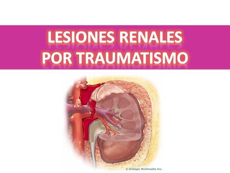 Lesiones renales Por traumatismo.