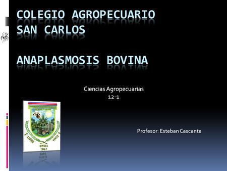 Ciencias Agropecuarias 12-1 Profesor: Esteban Cascante.
