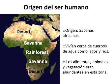 Origen del ser humano Origen: Sabanas africanas.