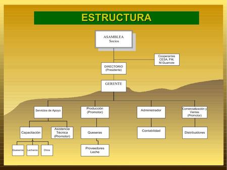 ESTRUCTURA.