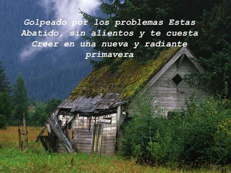 Golpeado por los problemas Estas Abatido, sin alientos y te cuesta Creer en una nueva y radiante primavera.