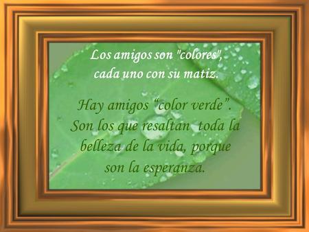Los amigos son colores, cada uno con su matiz. Hay amigos “color verde”. Son los que resaltan toda la belleza de la vida, porque son la esperanza.