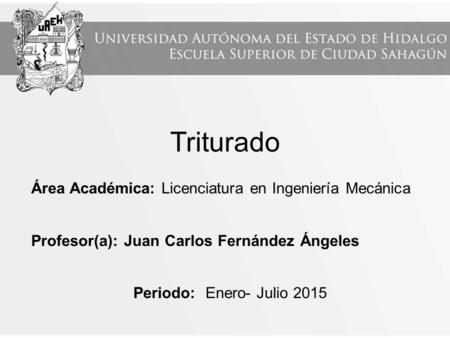 Triturado Área Académica: Licenciatura en Ingeniería Mecánica