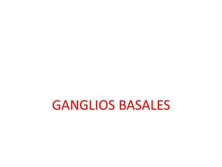 GANGLIOS BASALES.