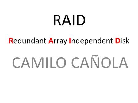 Redundant Array Independent Disk