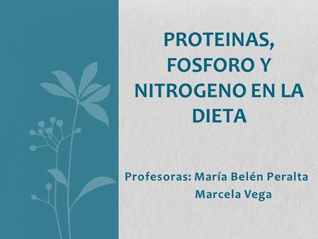 PROTEINAS, FOSFORO Y NITROGENO EN LA DIETA