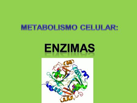 METABOLISMO CELULAR: ENZIMAS