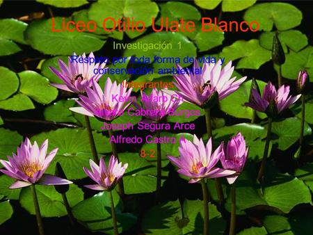 Liceo Otilio Ulate Blanco. Investigación 1 Respeto por toda forma de vida y conservación ambiental Integrantes Kevin Alfaro Ch Álvaro Cabrera Burgos Joseph.