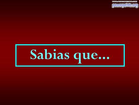 Sabias que... Los delfines duermen con un ojo abierto.