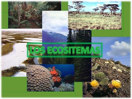 LOS ECOSITEMAS.