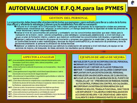 AUTOEVALUACION E.F.Q.M.para las PYMES EJEMPLOS DE AREAS DE MEJORA