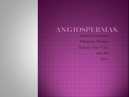 Andrea Contreras Valentina Molano Antonio Van Uden 902 JM 2014.