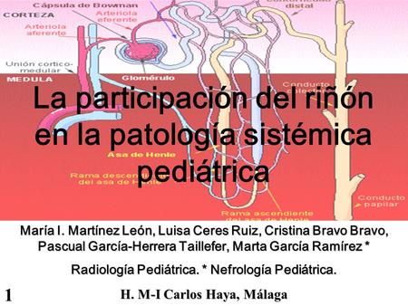 La participación del riñón en la patología sistémica pediátrica