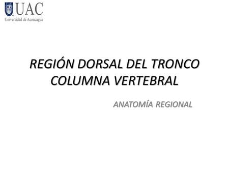 REGIÓN DORSAL DEL TRONCO COLUMNA VERTEBRAL