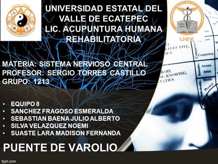 PUENTE DE VAROLIO UNIVERSIDAD ESTATAL DEL VALLE DE ECATEPEC