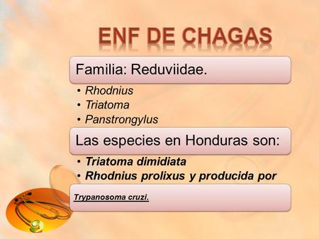 Enf de chagas Trypanosoma cruzi. Familia: Reduviidae. Rhodnius
