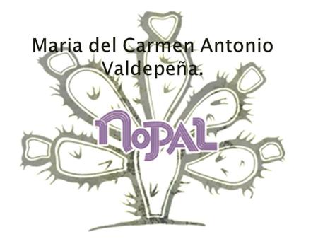 Maria del Carmen Antonio Valdepeña.