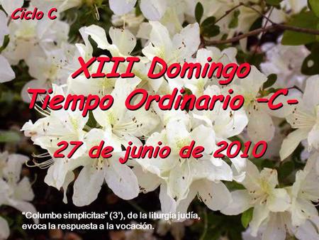 XIII Domingo Tiempo Ordinario –C-