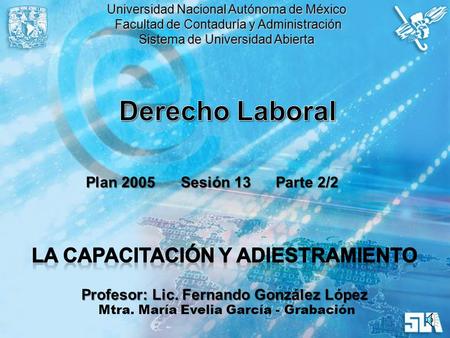 Derecho Laboral La Capacitación y Adiestramiento Plan 2005 Sesión 13