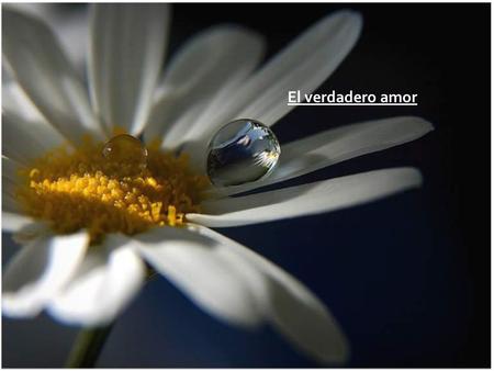El verdadero amor.